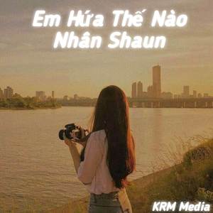 Em Hứa Thế Nào (Remix)