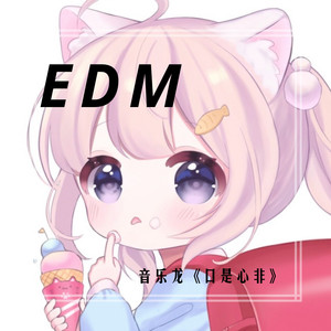 流泪 (DJ版)
