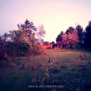 Reborn Eyes (feat. JARC)