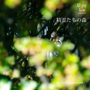 Smooth J - 春よ、来い (Inst.)