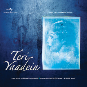 Teri Yaadein (Album Version|Lounge Mix)