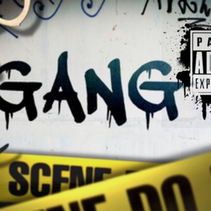 Gang(feat. Mookie Jackson, Papi Tone & KG) (Explicit)