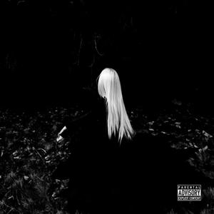 Stick ! (feat. Snow Banks) (Explicit)