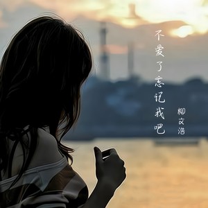 不爱了忘记我吧