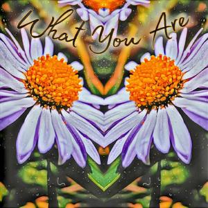 What You Are (Reignited)