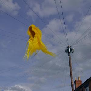 Blue Roses (feat. Barbs & Katie Coleman)