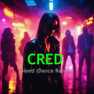 Bleed (BS Dance Remix)