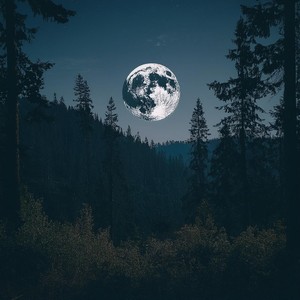 Una Suave Caricia Calma