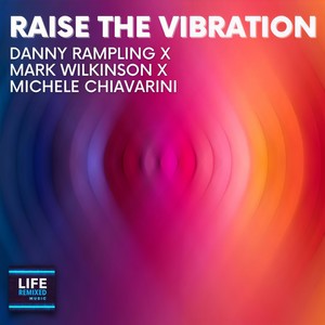 Raise The Vibration (Radio Edit)