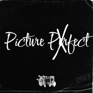 Picture Perfect (Explicit)