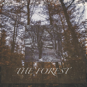 The Forest