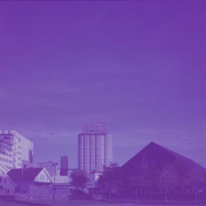 X-ray Of The Real Thing (feat. Bård Bratlie)