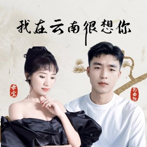 我在云南很想你