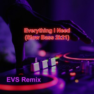 Everything I Need (Slow Bass 2k21) (Remix)
