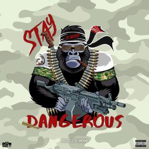 Stay Dangerous (Explicit)