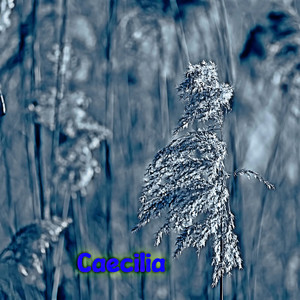 Caecilia