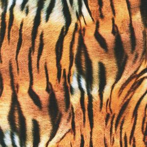 Better (feat. KAYDN!) (Explicit)