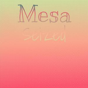 Mesa Seized