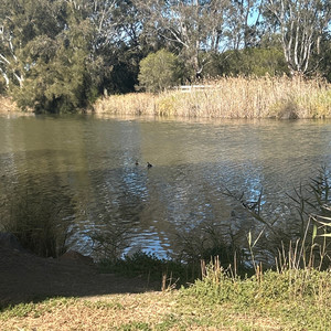 I dont wanna say goodbye