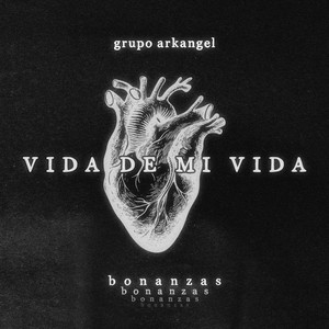 Vida De Mi Vida