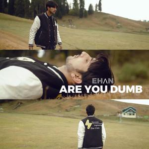 Are You Dumb (Explicit)