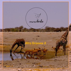 Afro Grooves 2