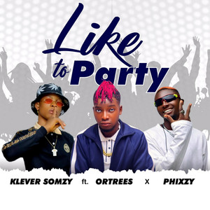 Like to Party (feat. Ortrees, Phixxy) [Explicit]