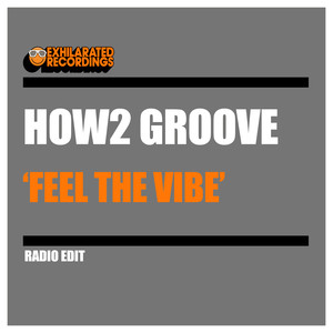 Feel The Vibe (Radio Edit)