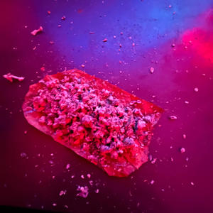 where the zot (Explicit)