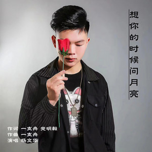 想你的时候问月亮