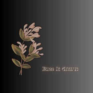 Buss it down (Explicit)