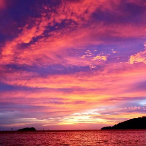 初心 (The First Dream)