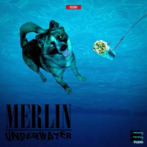 MERLIN UNDERWATER (feat. $tarGoo Gurl, Rob Buck & Xd_Integrity) (Explicit)