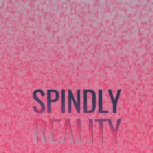 Spindly Reality
