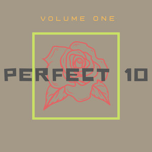 Perfect 10, Vol. 1