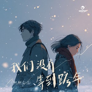 我们没有等到跨年