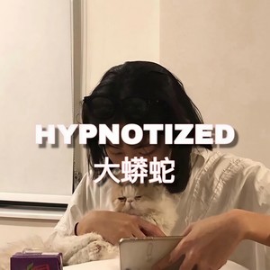 medly-迷 (大蟒蛇 remix)