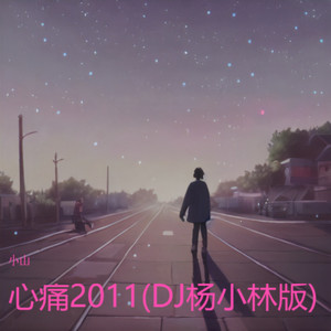 心痛2011 (DJ杨小林|小山 remix)