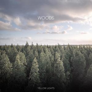 Woods (Feat. Soundhills)