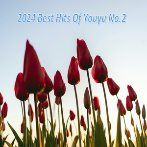 2024 Best Hits Of Youyu No.2