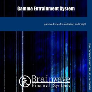 Gamma Entrainment System