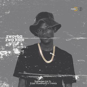 Zwovha Zwa Kale (feat. Enjay Muelekanyi & Tremza)