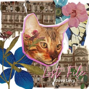 Lost File (Explicit)