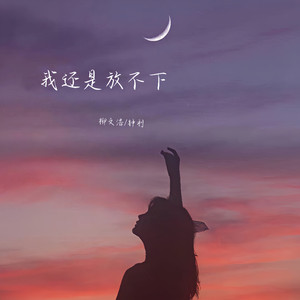 我还是放不下 (伴奏)