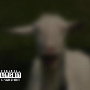 sweatergawd. (Explicit)