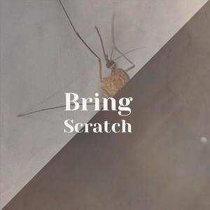 Bring Scratch