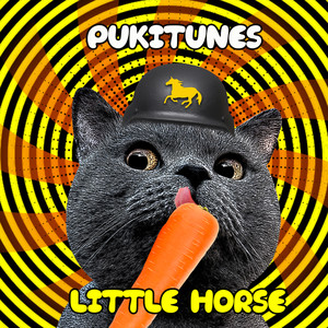 Little Horse