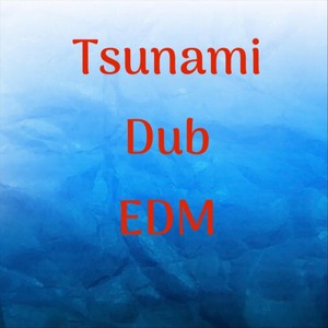 Tsunami Dub Edm