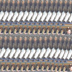 TOOK THE TOP OFF THE FALCON SO THEY CAN SMELL THE SUCCESS (Explicit)