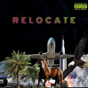 Relocate (feat. Mikeflowarts) [Explicit]